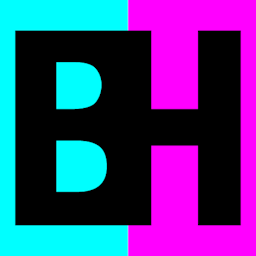 Bert Huys Logo